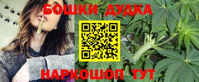 прущие грибы Можайск