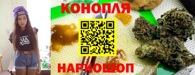 a pvp Можга